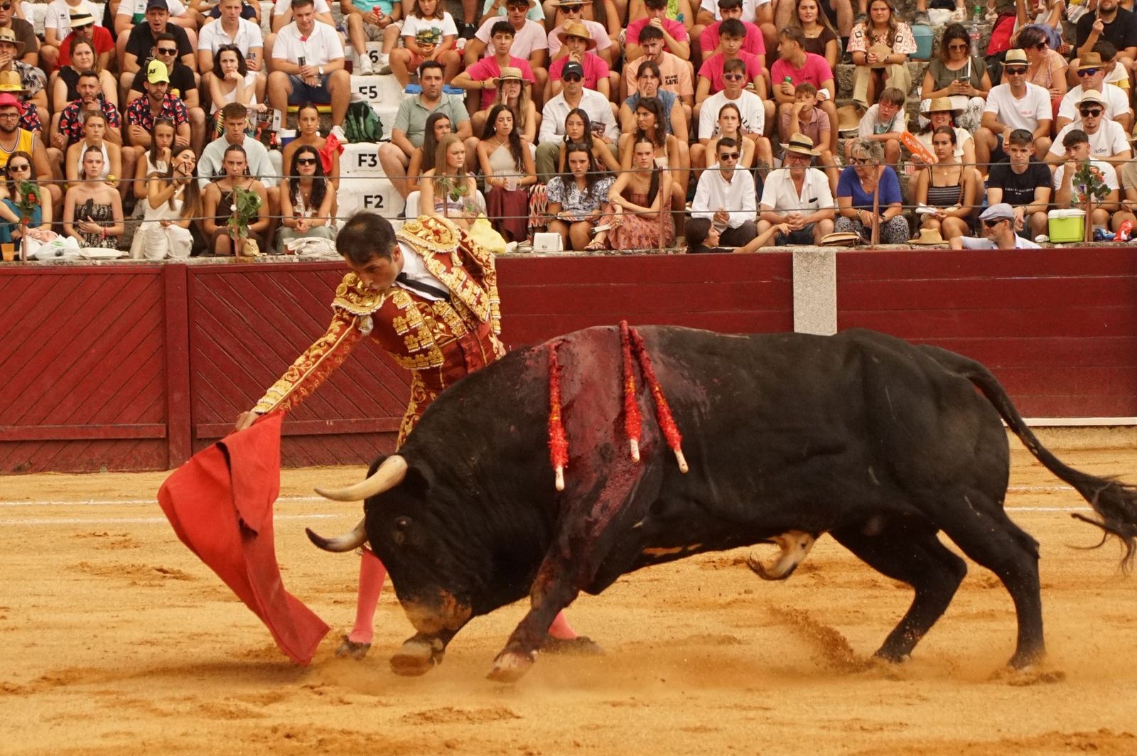 Javier Castaño se despide de Guijuelo y Damián Castaño, su hermano, e Ismael Martín salen a hombros en Guijuelo