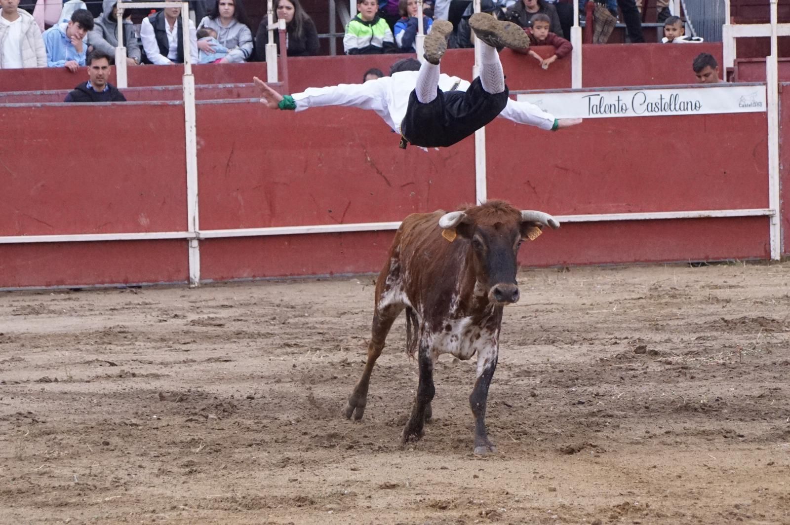 whatsapp-image-2023-05-22-at-20-19-22