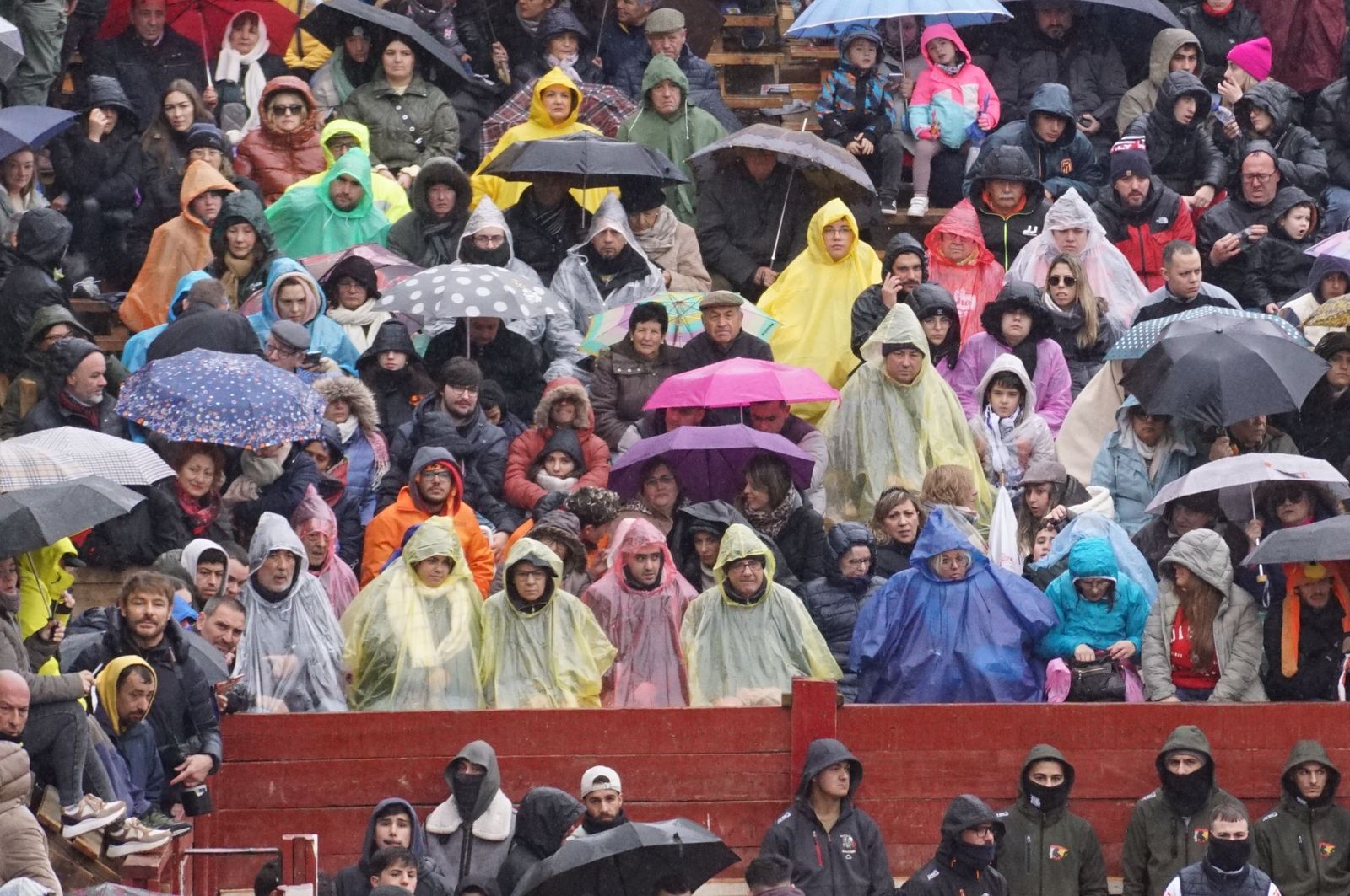 whatsapp-image-2025-03-03-at-14-50-01