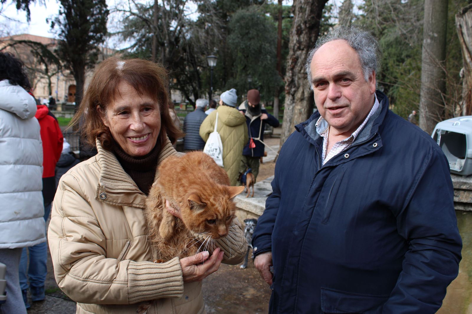 san-anton-bendicion-de-animales-2024-foto-s24h-96