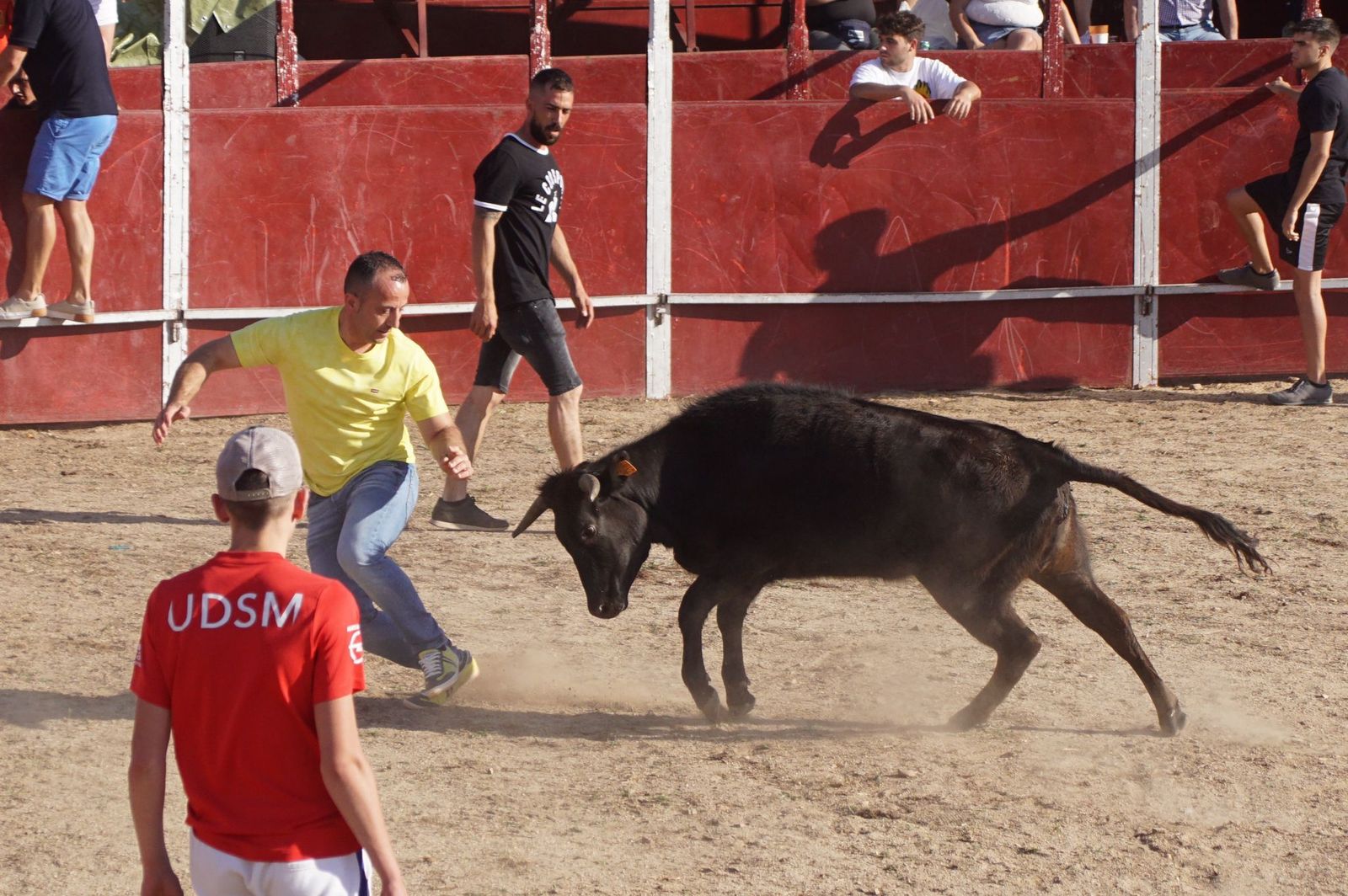 capea-fiestas-de-carrascal-de-barregas-32