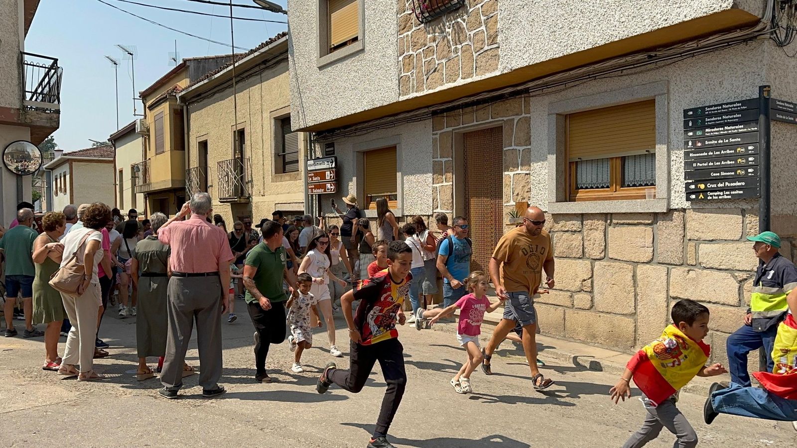 Mini bueyes en Aldeadávila