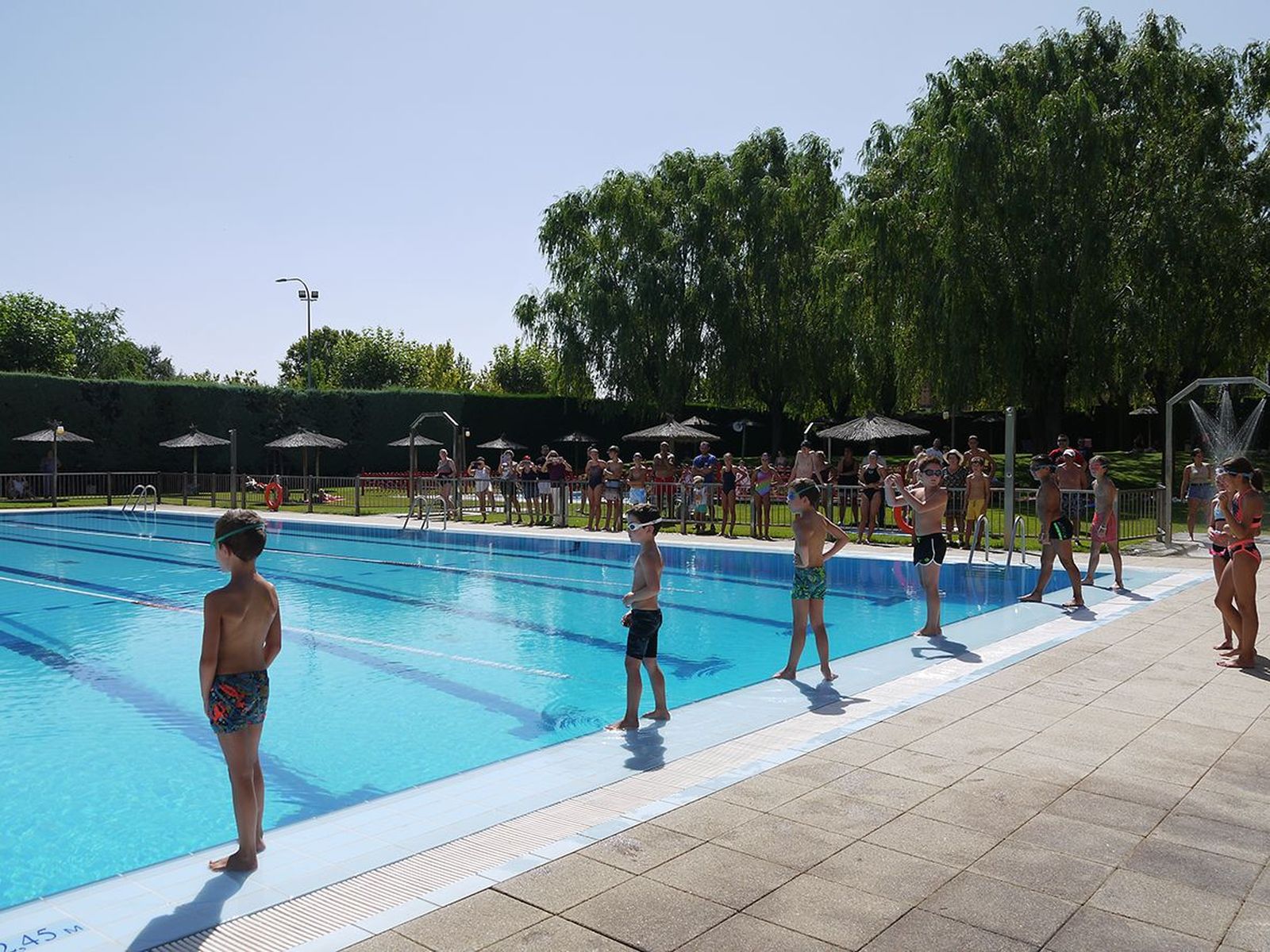 trofeo-natacion-fiestas-san-roque-carbajosa-3