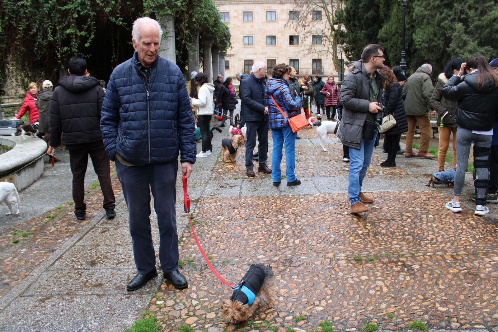 san-anton-bendicion-de-animales-2024-foto-s24h-11