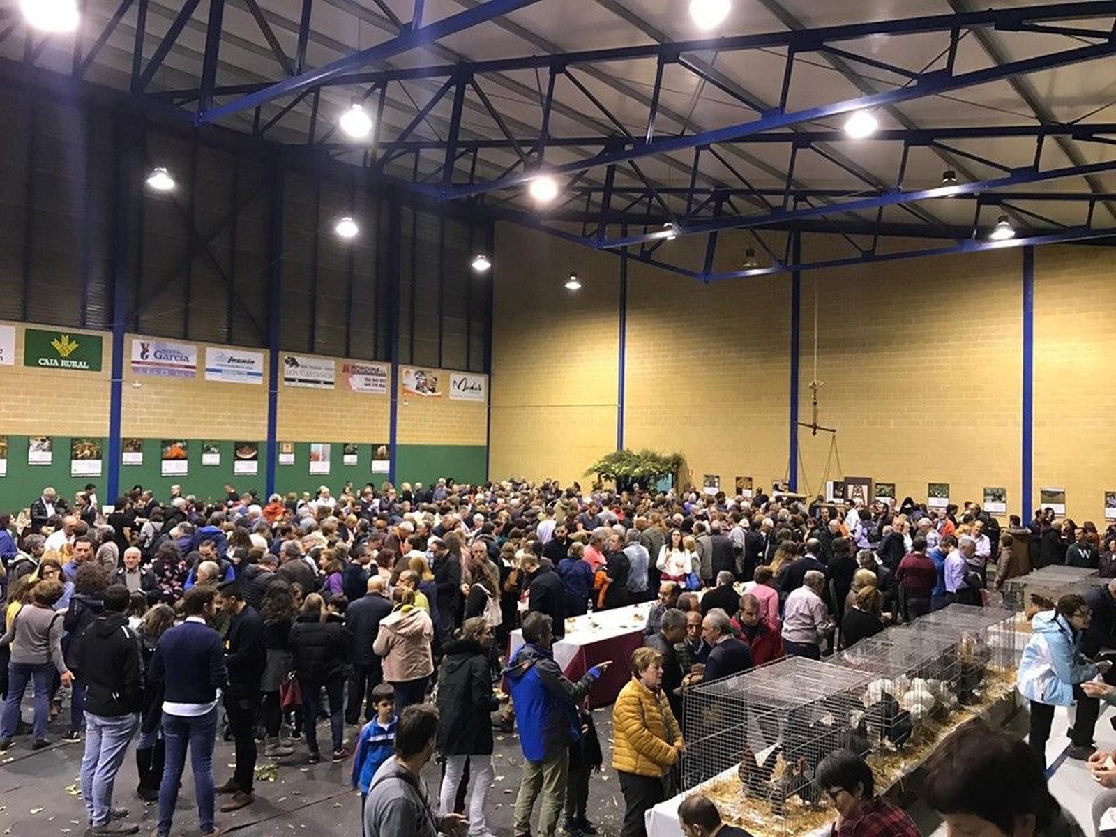 73256362 2849916131720058 1561522501052268544 n