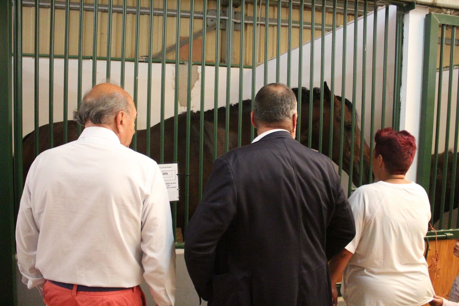 20230904141655-img-7552