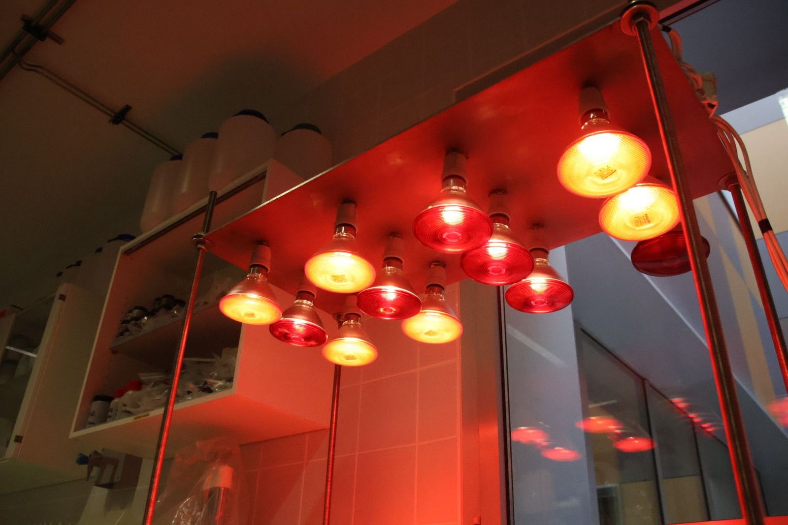 20231013102350-img-3064