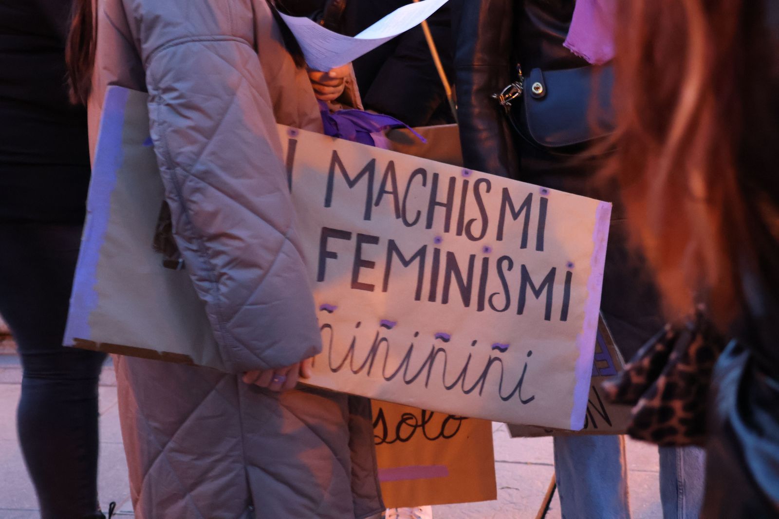 marcha-del-8m-en-zamora-5