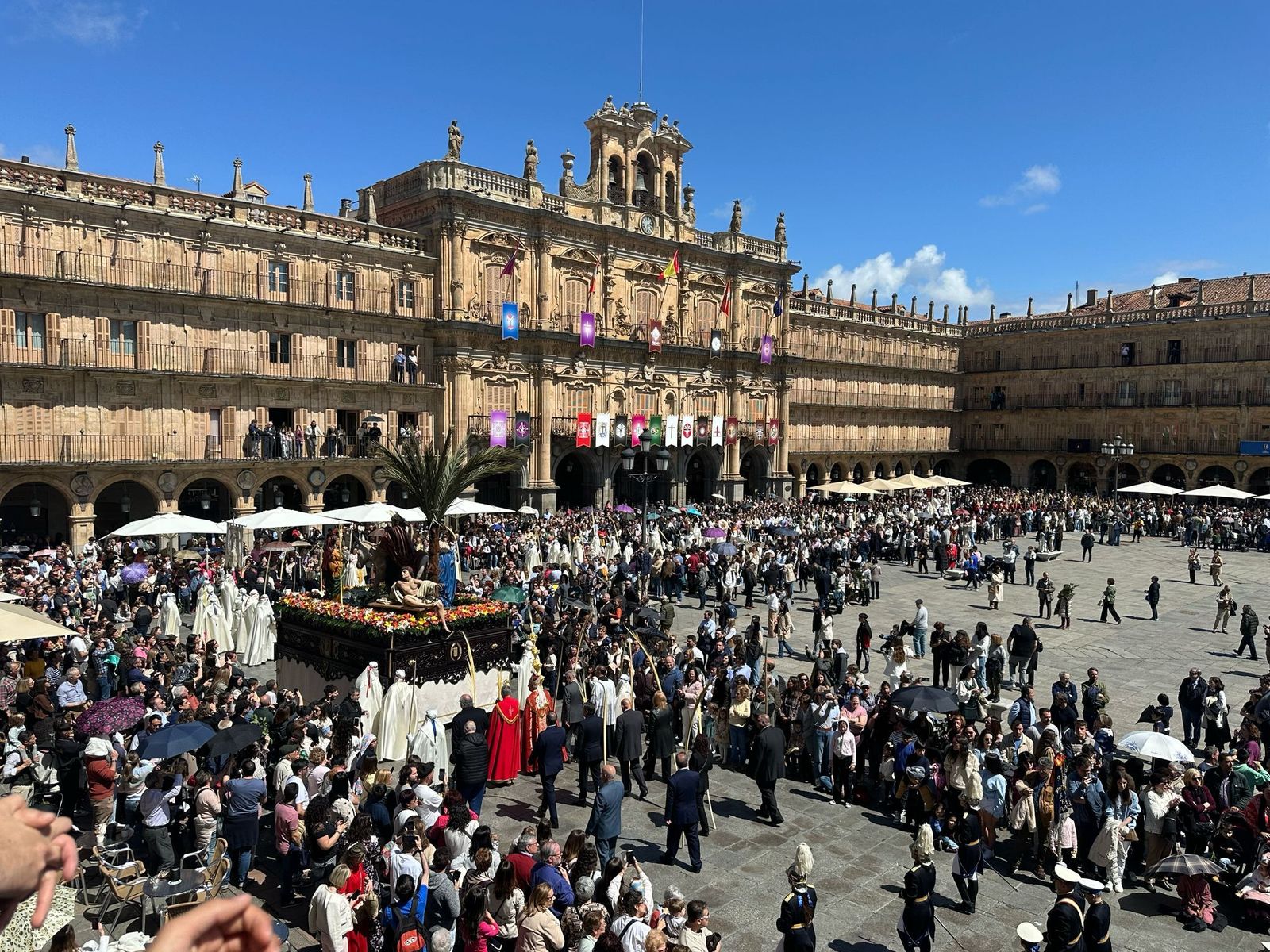 imagen-de-whatsapp-2025-04-13-a-las-14-35-59-49b570d2