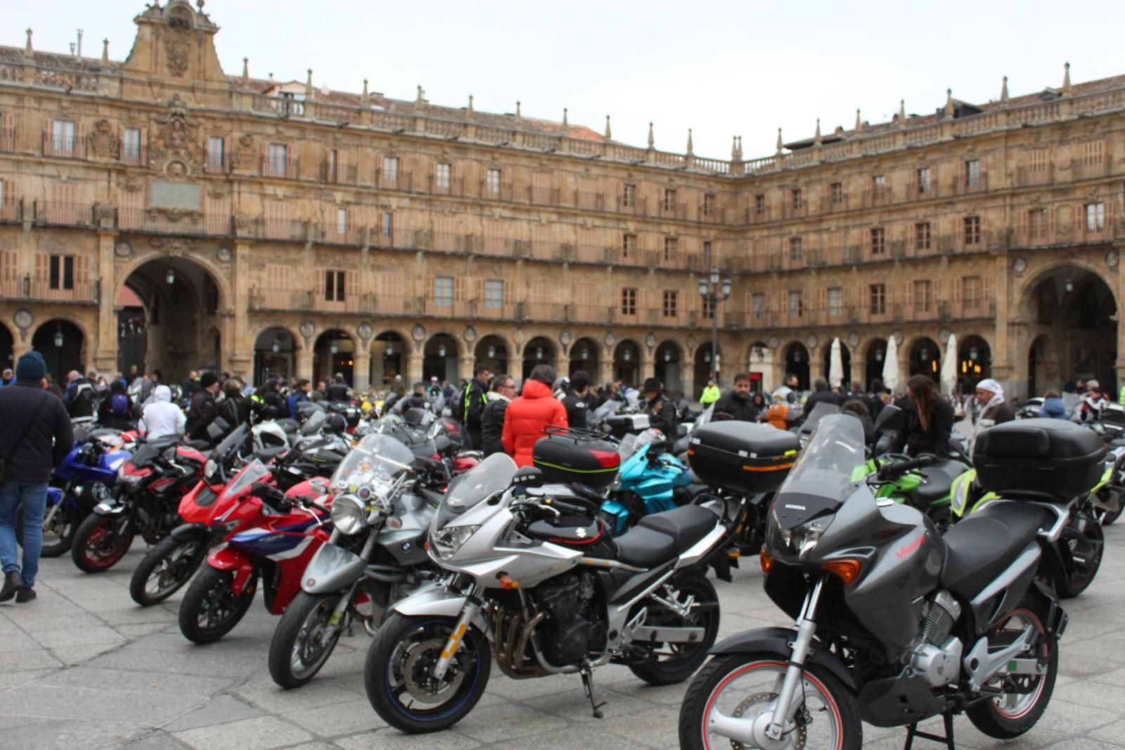 whatsapp-image-2025-03-02-at-10-18-52-23