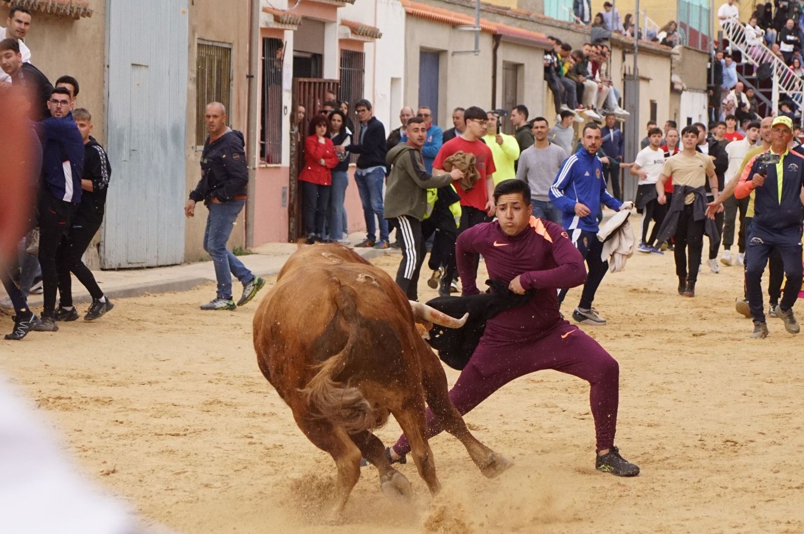 Villoria, toro del Voto