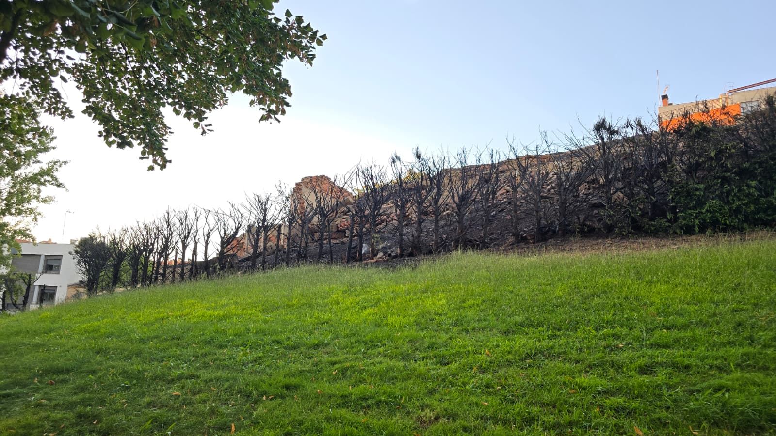 Incendio junto al parque Valhondo