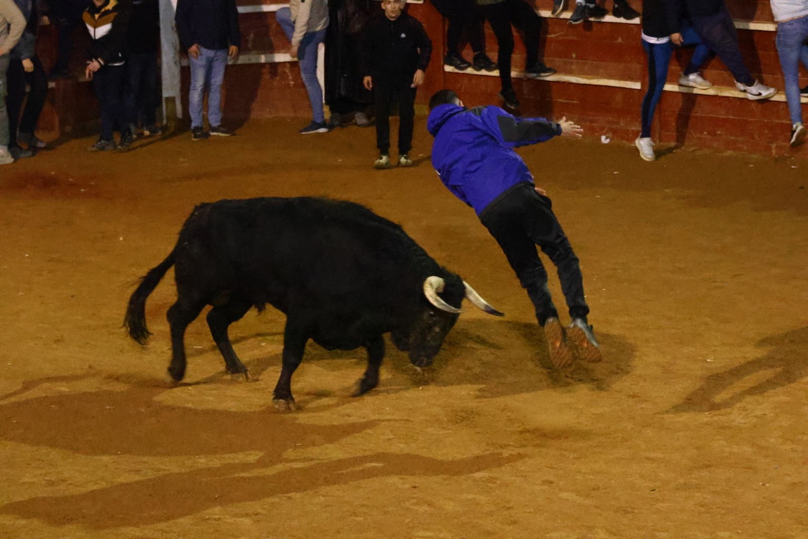 Dos toros de Brazuelas para el arranque del martes, el último día del Carnaval del Toro