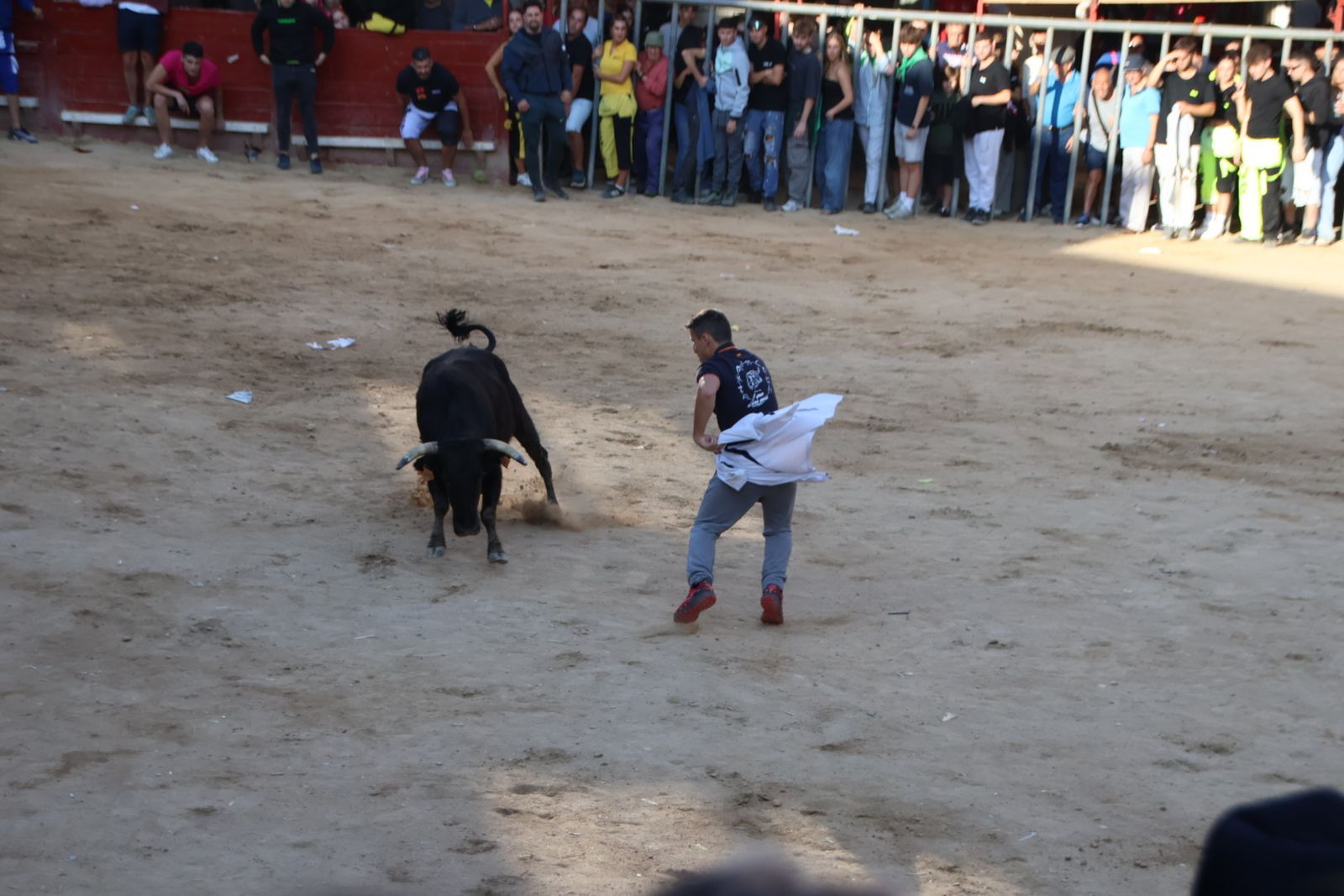 Encierro en Aldeadávila