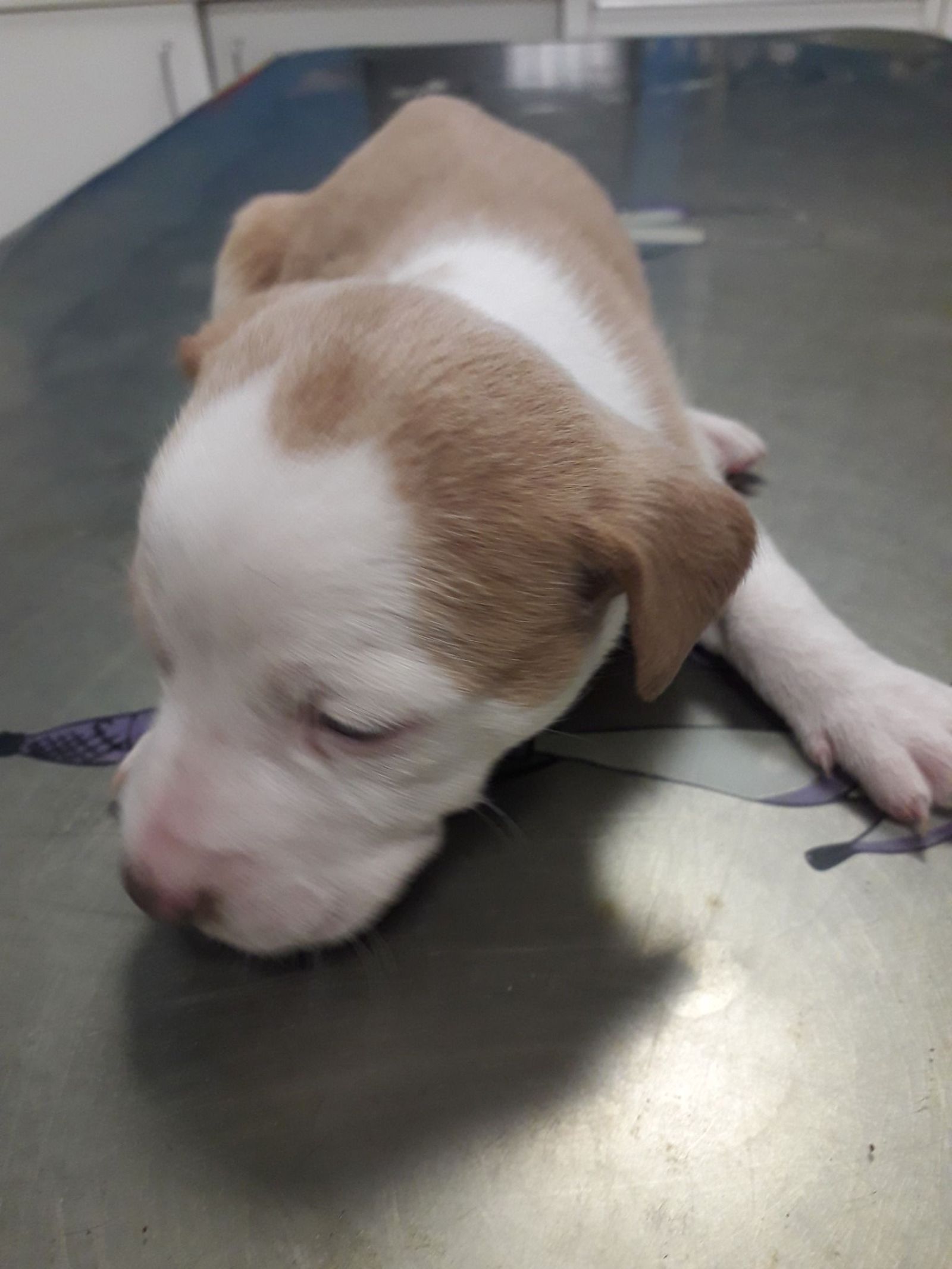 259316113 5307324692627755 2758258141993892044 n