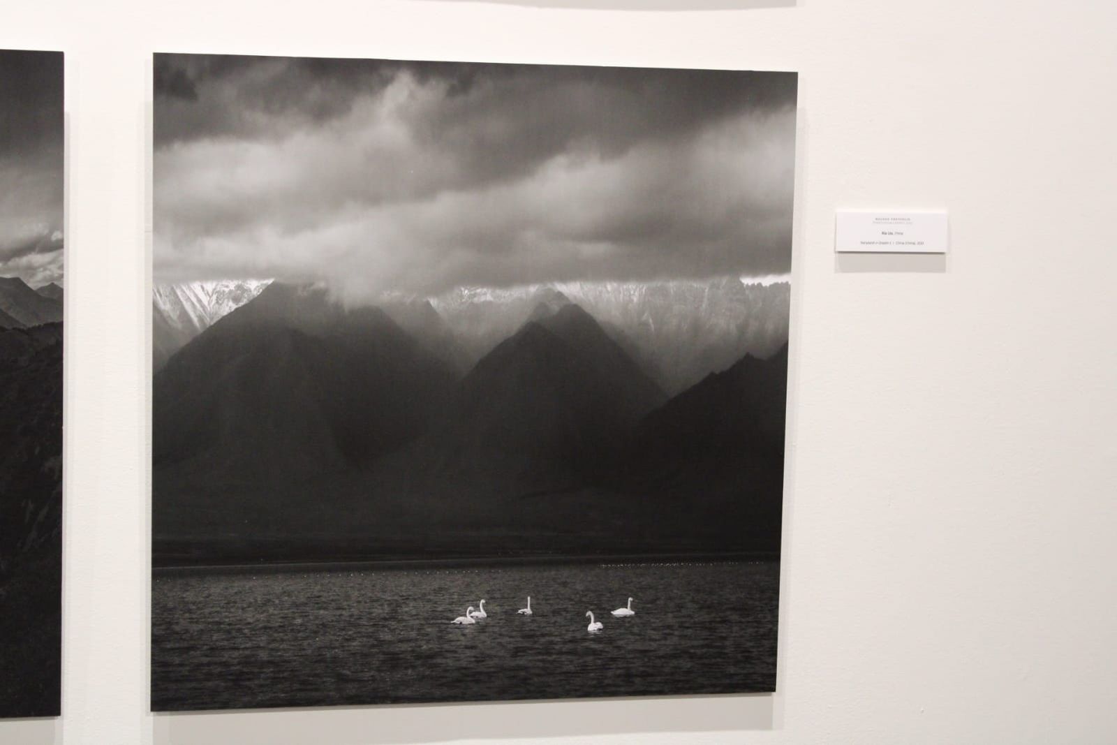 exposicion-transversalidades-fotografia-sin-fronteras-10