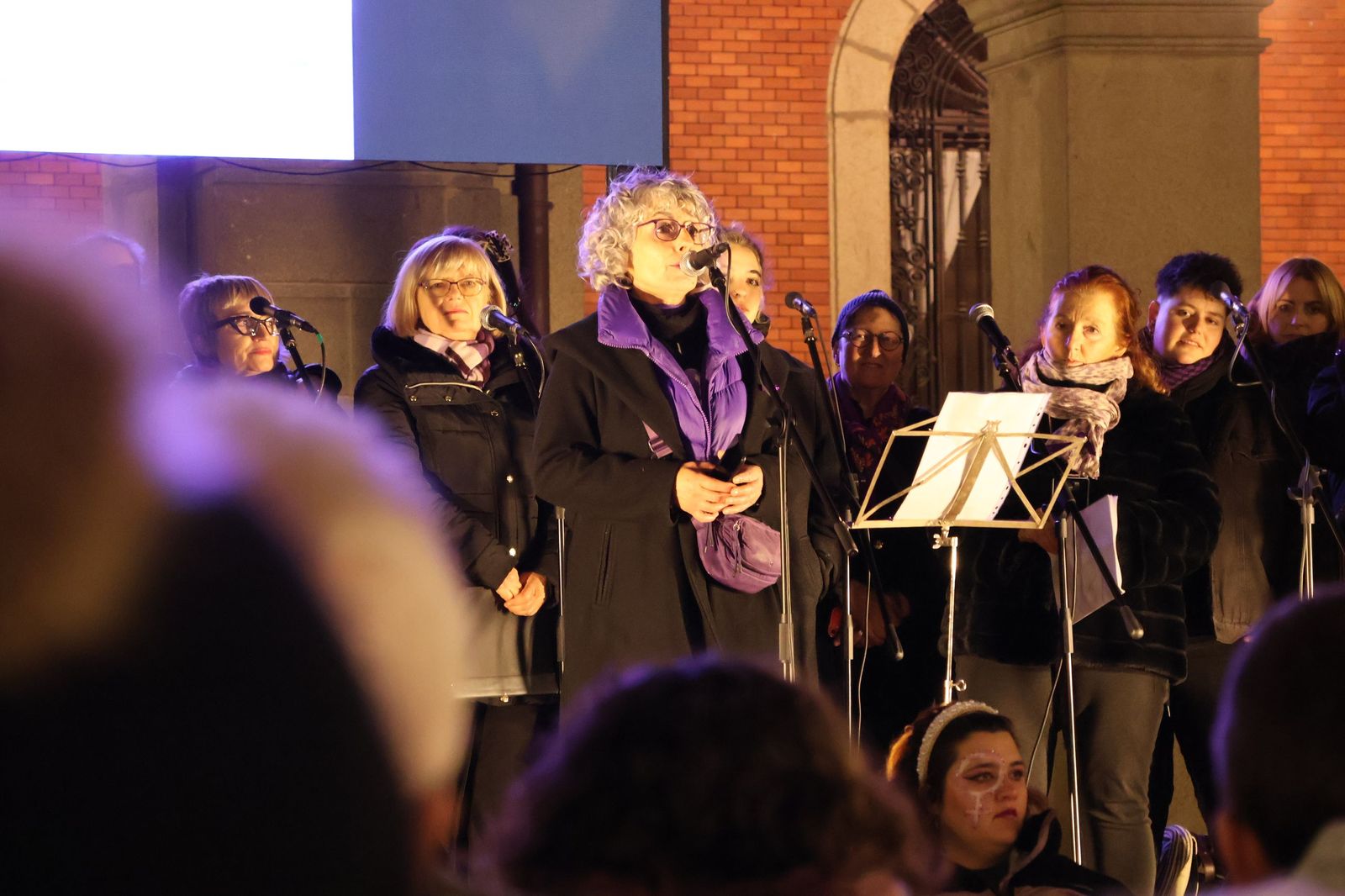 GALERÍA | La movilización en Zamora para reclamar el fin de la violencia machista en imágenes