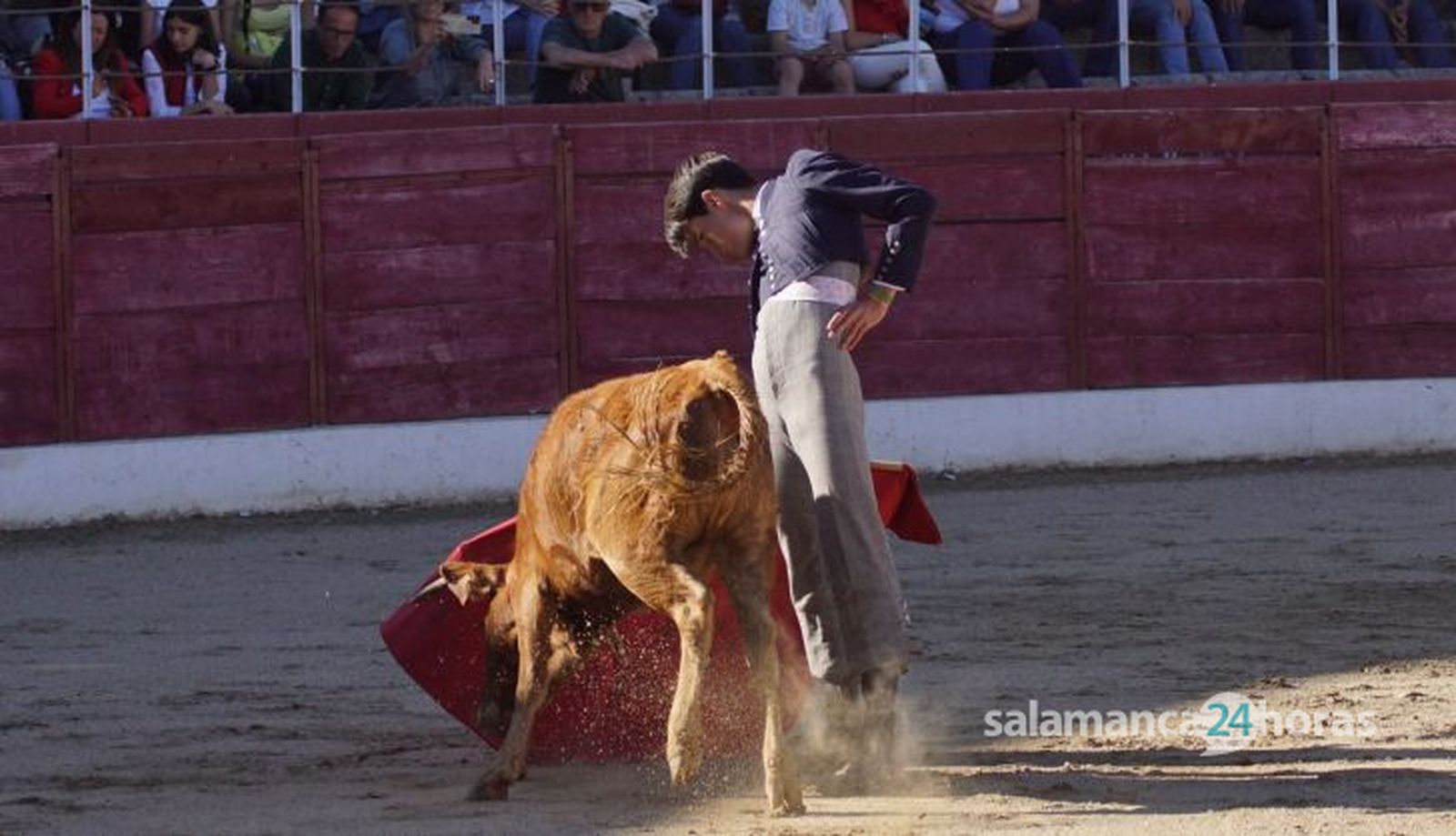 Certamen Rosquilla de Oro y capea en Ledesma 2024. Fotos Juanes (108)