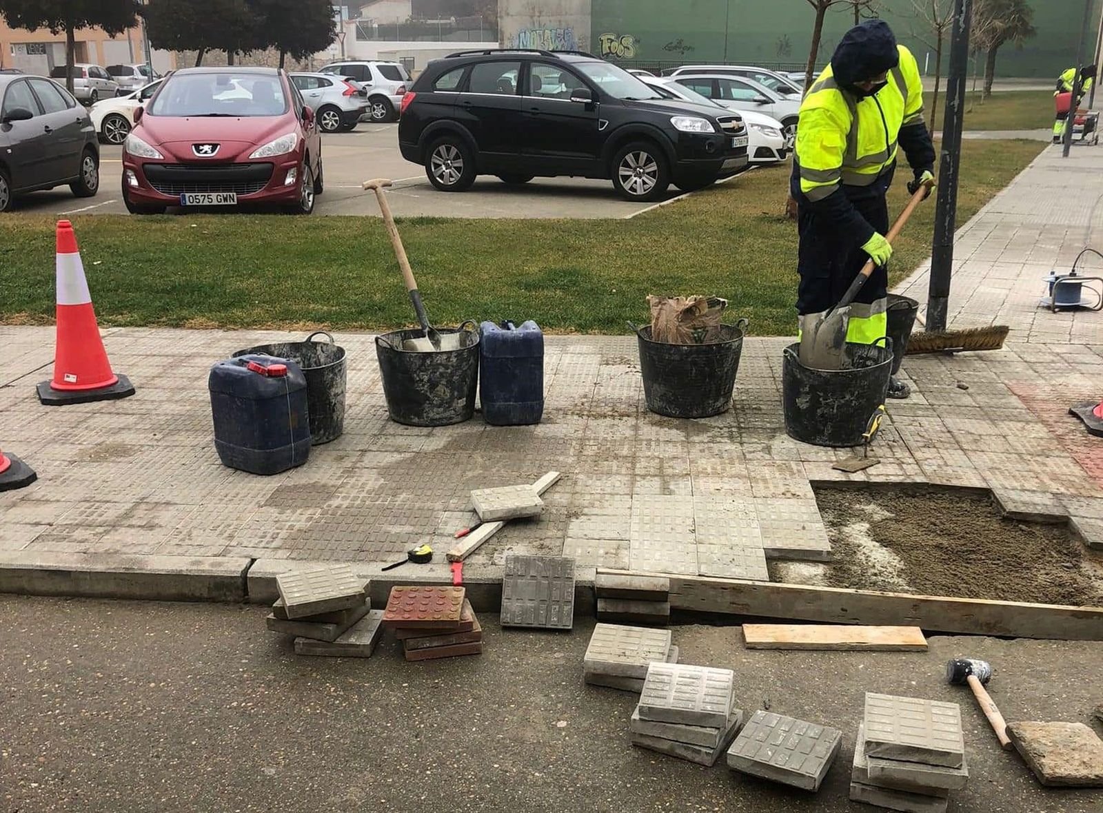 Programa de Formación y Empleo de Morales del Vino