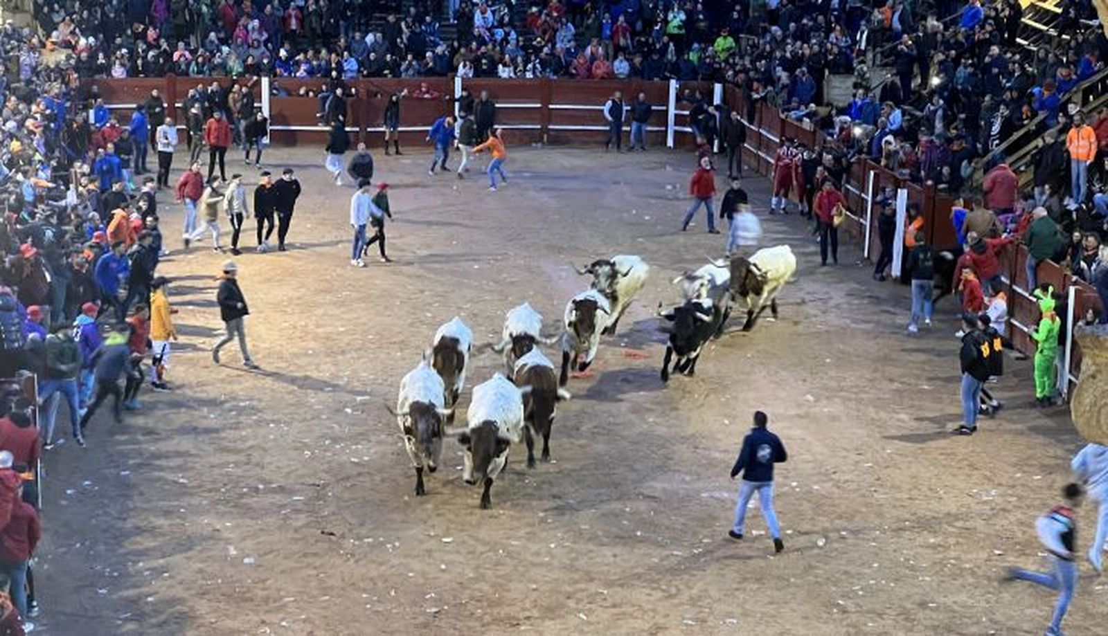 Encierro de mansos Ciudad Rodrigo 2024. Foto S24H