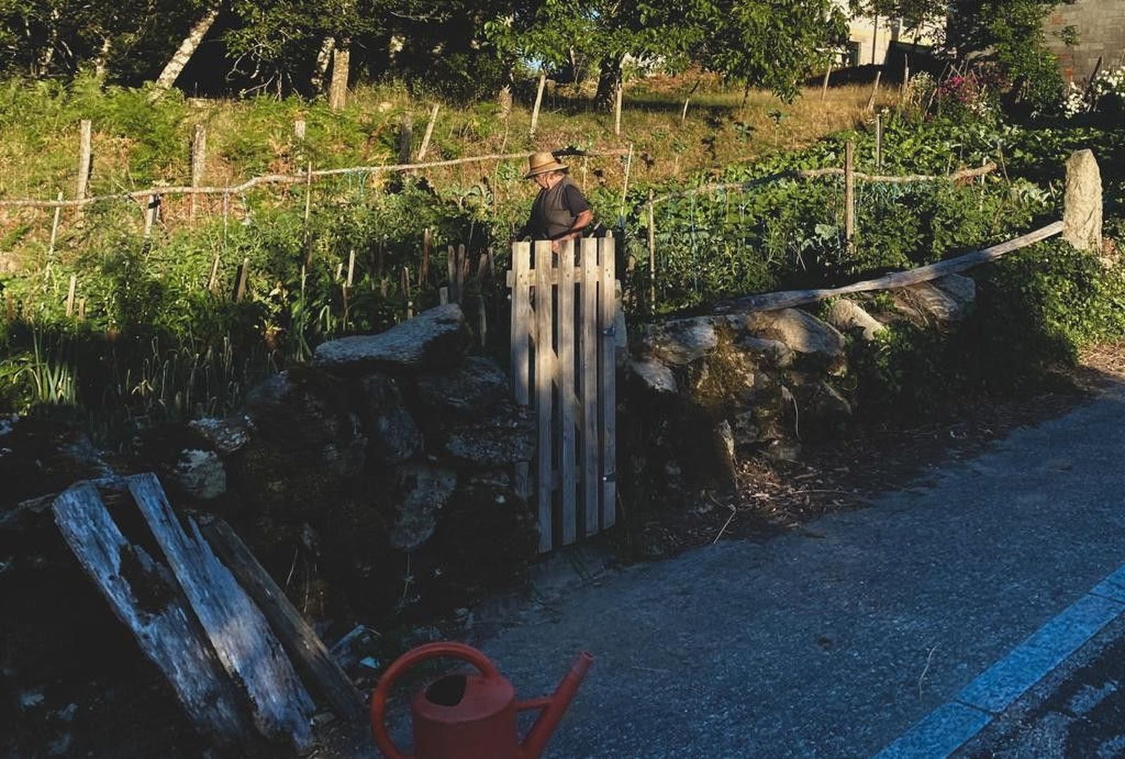 Huerto mujer rural agricultura