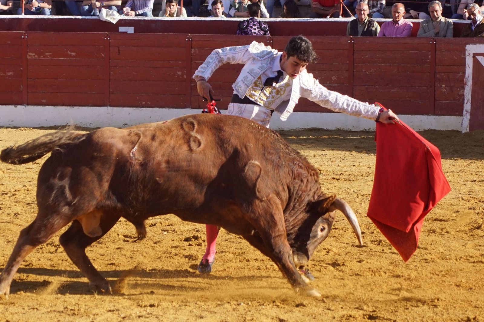 novillada-con-picadores-en-villoria-73