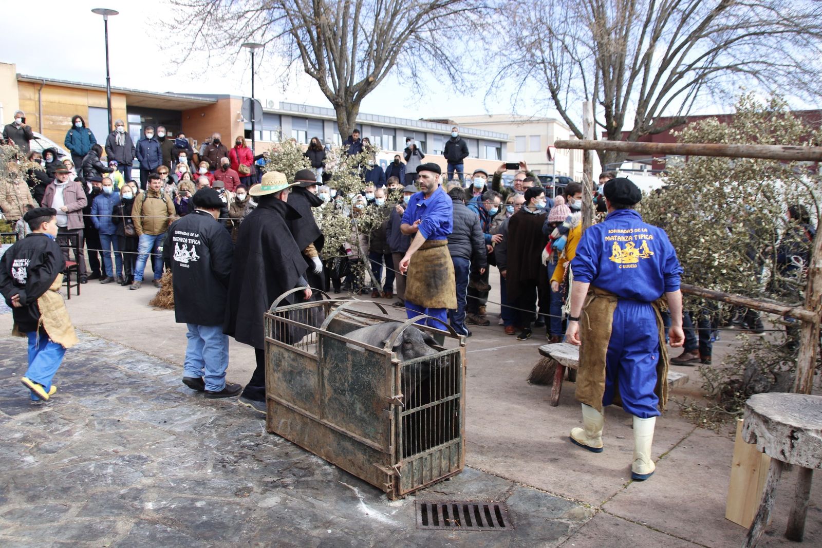 20220219131238-mg-8030