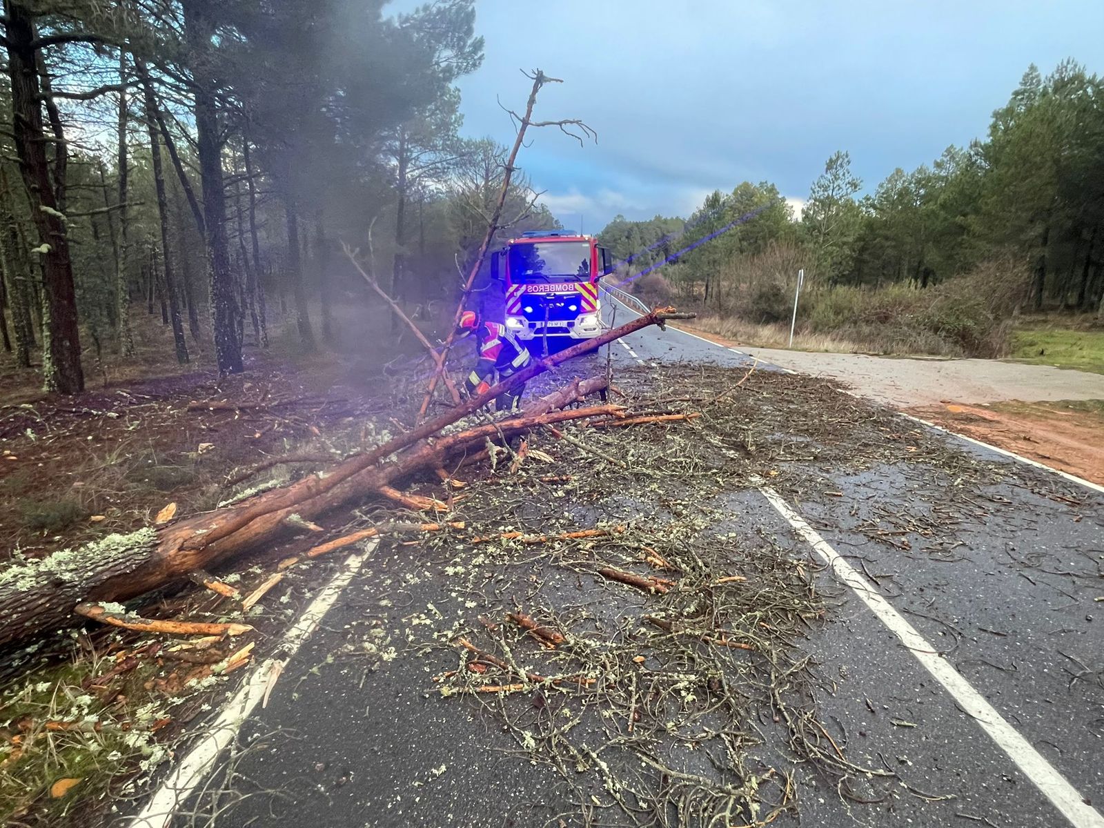 Primeras incidencias en Zamora por el temporal de viento