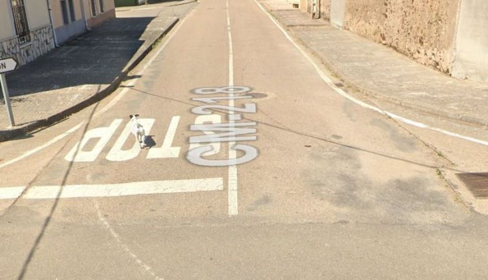 Marcha del perro en La Encina tras ver el coche de Google Maps