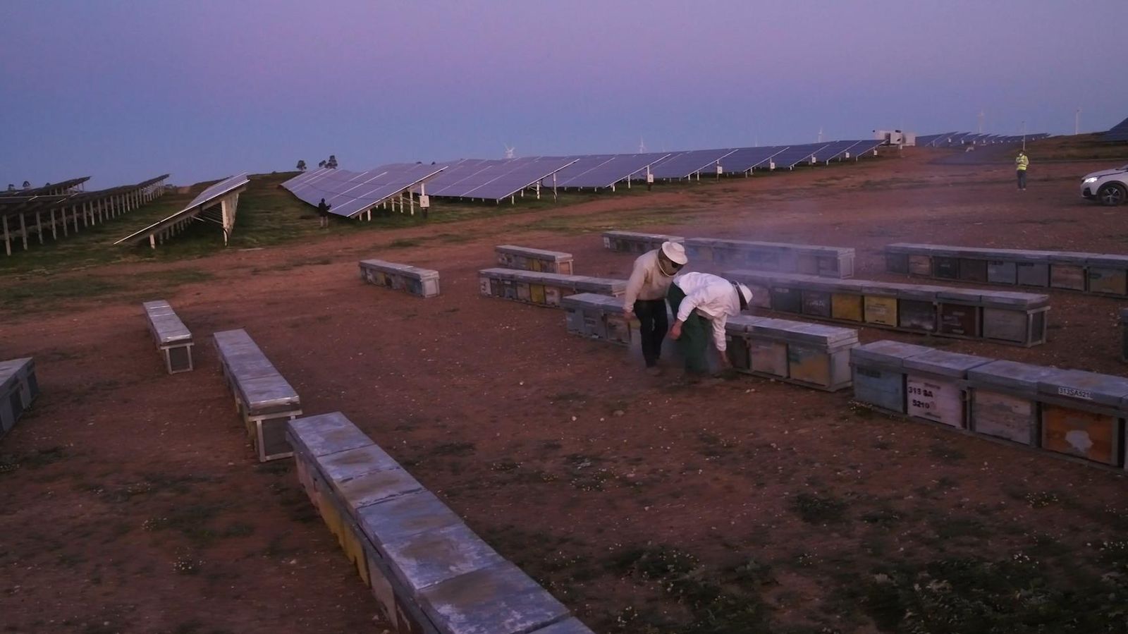 Iberdrola instala colmenas en proyectos fotovoltaicos para preservar la biodiversidad Iberdrola instala colmenas en proyectos fotovoltaicos para preservar la biodiversidad