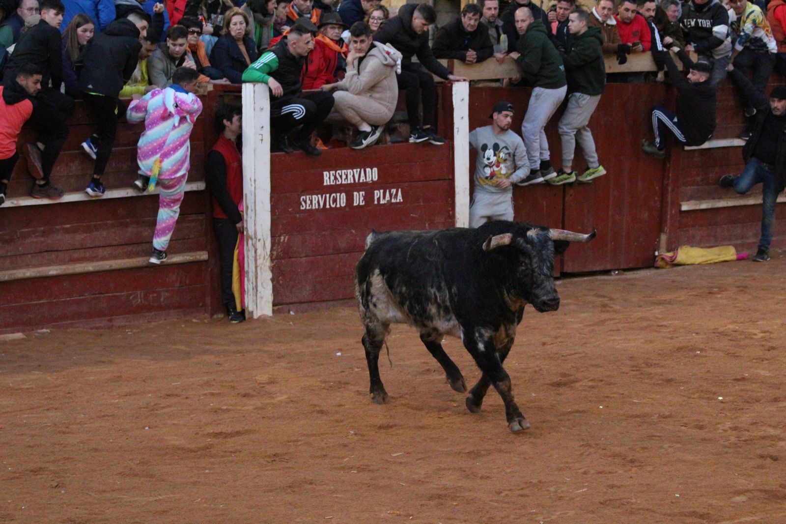 capea-de-ciudad-rodrigo-31