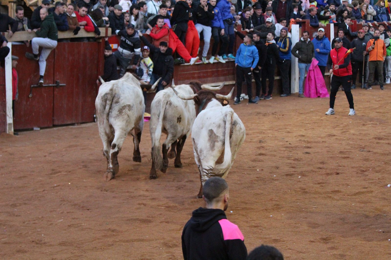 capea-de-ciudad-rodrigo-17