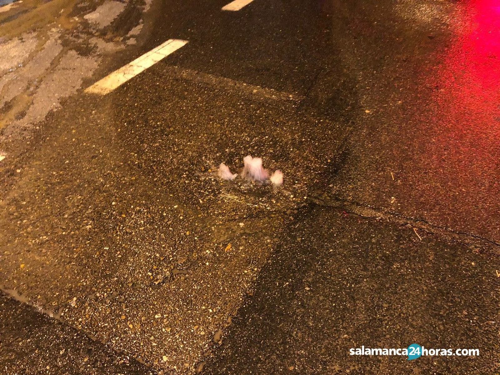 Reventón tubería Camino de las Aguas