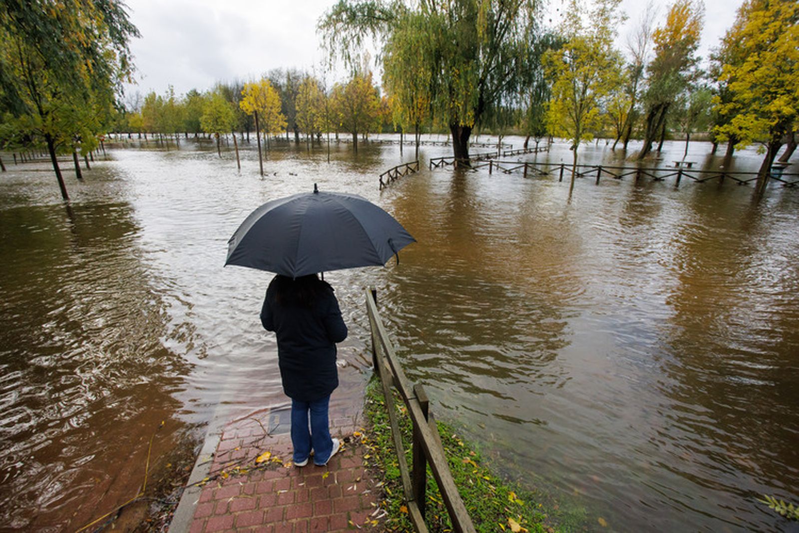 El río Águeda desbordado en Ciudad Rodrigo