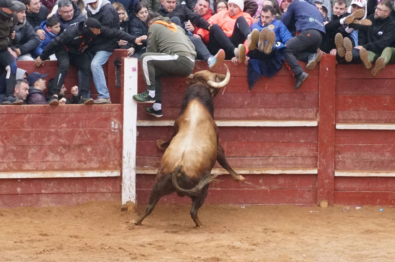 whatsapp-image-2025-03-03-at-14-50-33-1