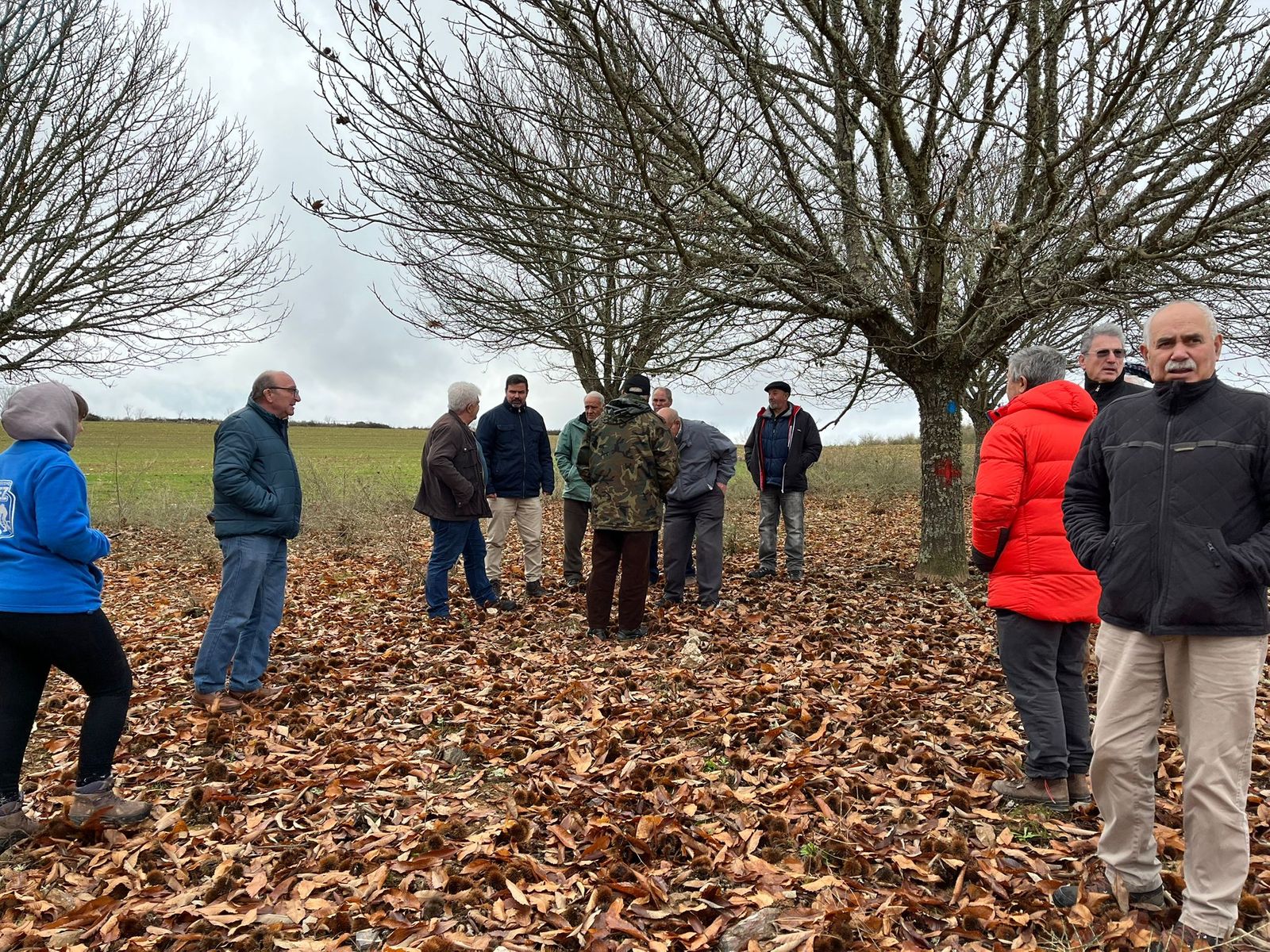 Algunos participantes de las Jornadas Castañicultura