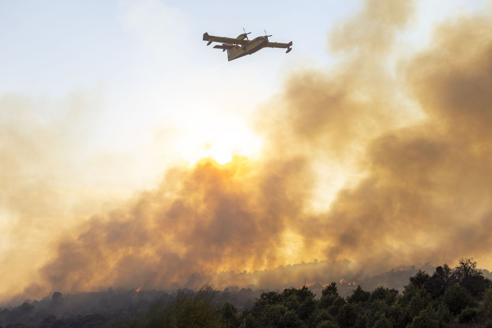 Incendio forestal Navaluenga -Ávila