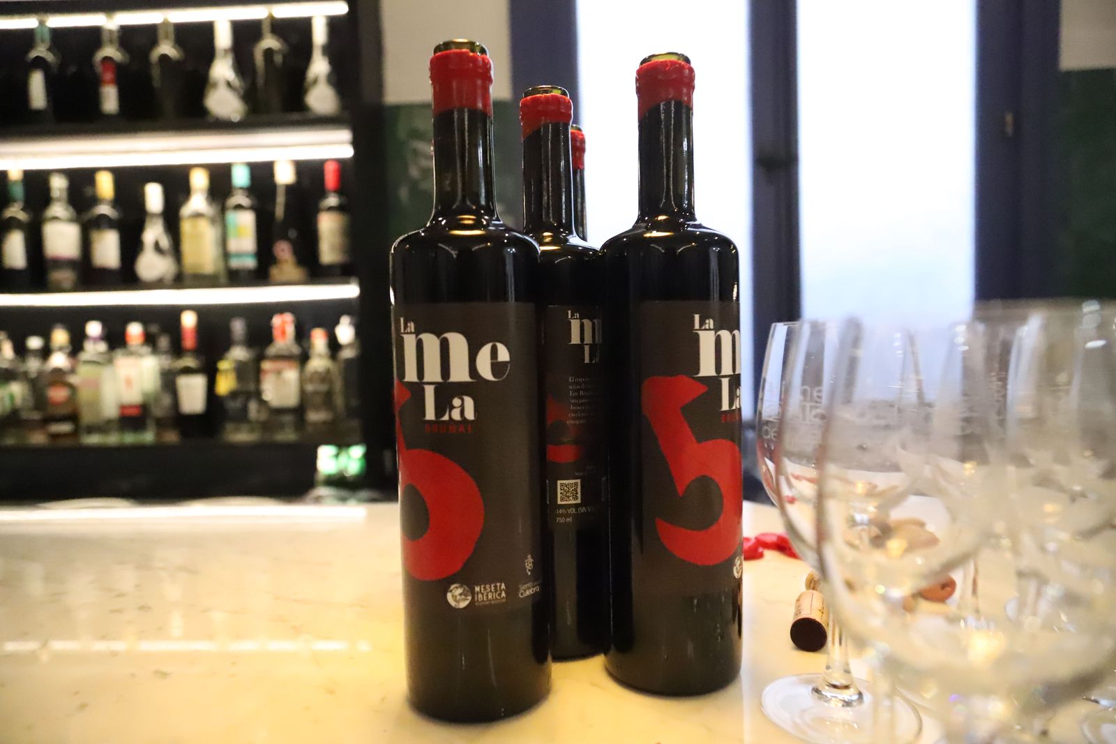 presentacion-de-los-vinos-de-la-sierra-de-la-culebra-2