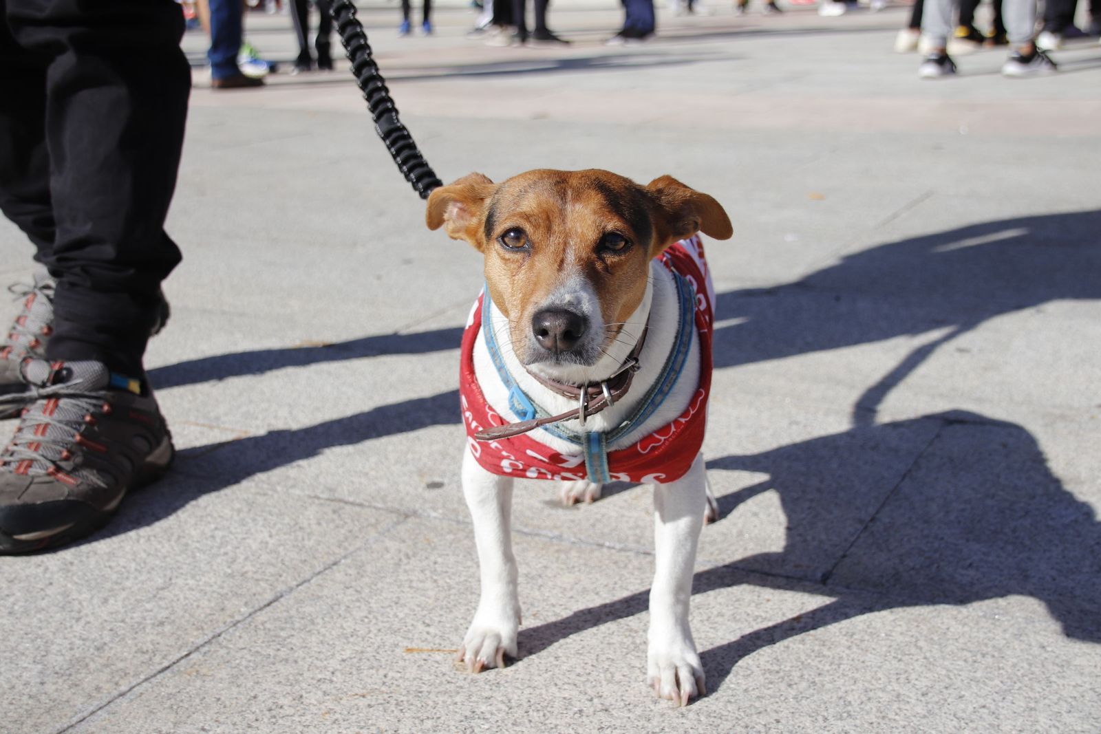 20221023105850-mg-6917