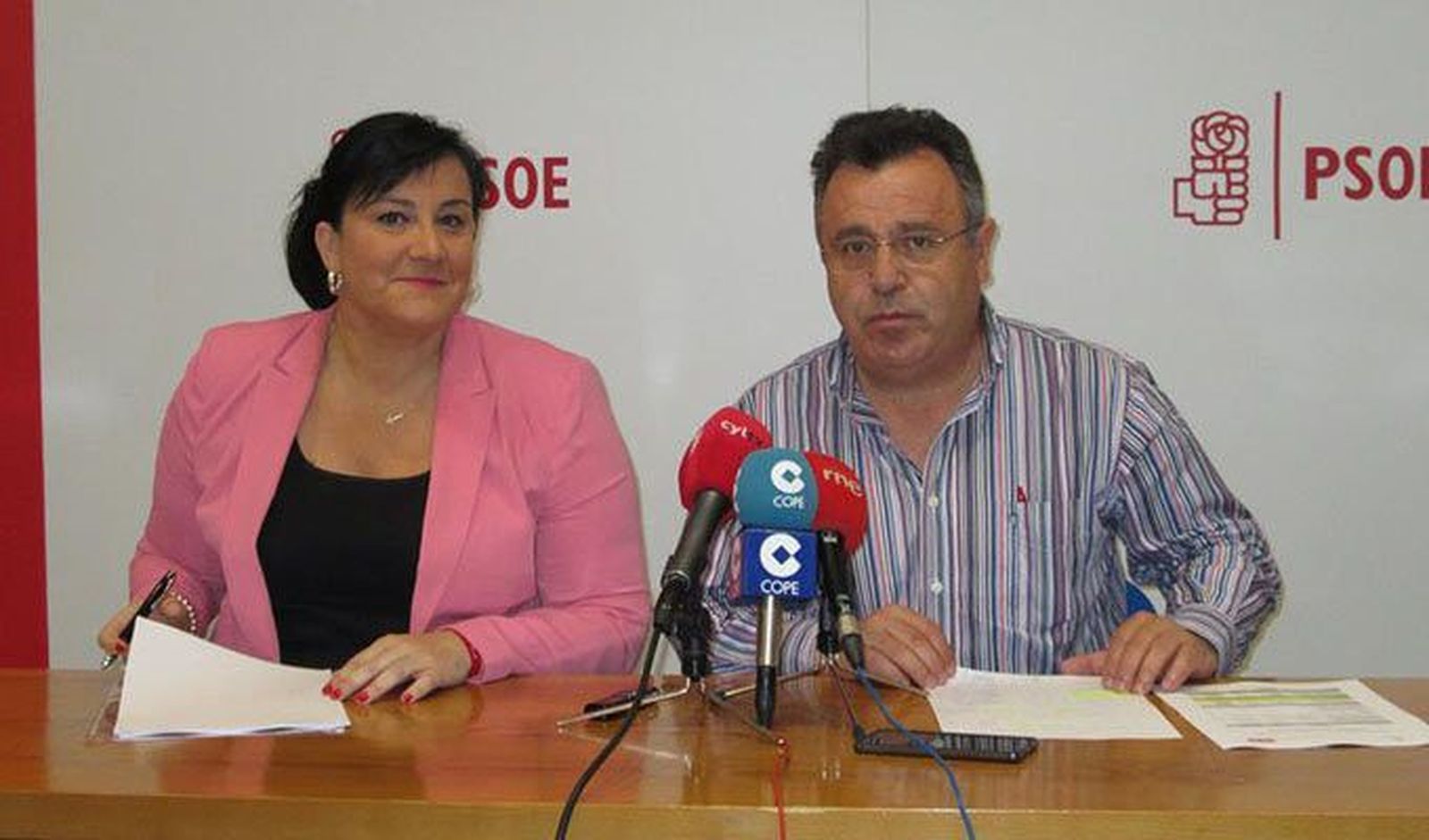 El PSOE considera necesario la recuperación de la muralla de Alcañices