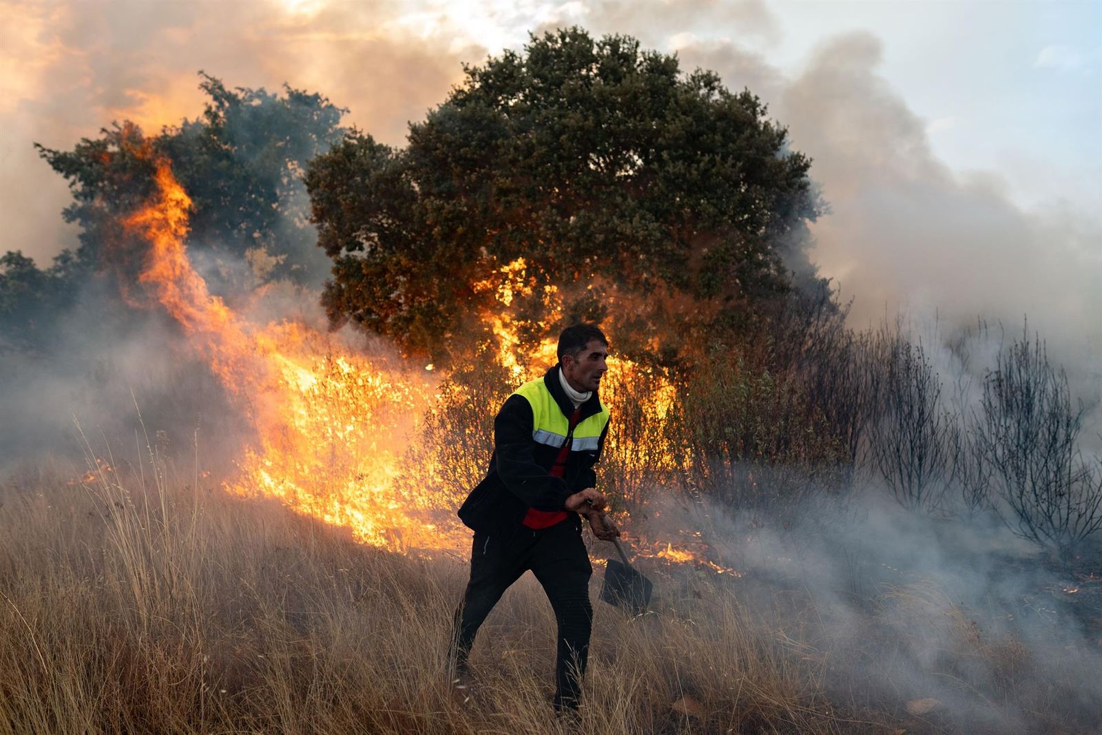 Una persona trata de apagar el fuego, a 12 de agosto de 2025, en Abejera, Zamora, Castilla y León (España). Uno de los voluntarios que trabajaba en el operativo del incendio de Molezuelas de la Carballeda (Zamora) ha fallecido este martes debido a las her - Emilio Fraile - Europa Press