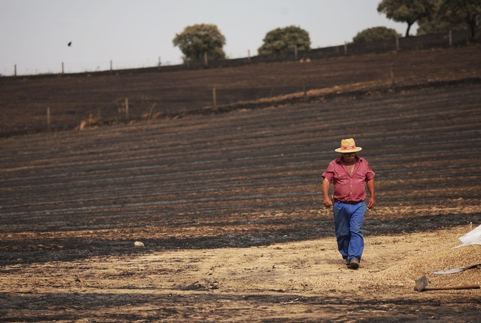 Así ha sido la actución de los Servicios de Extinción para sofocar el incendio en Castillejo de Martín Viejo