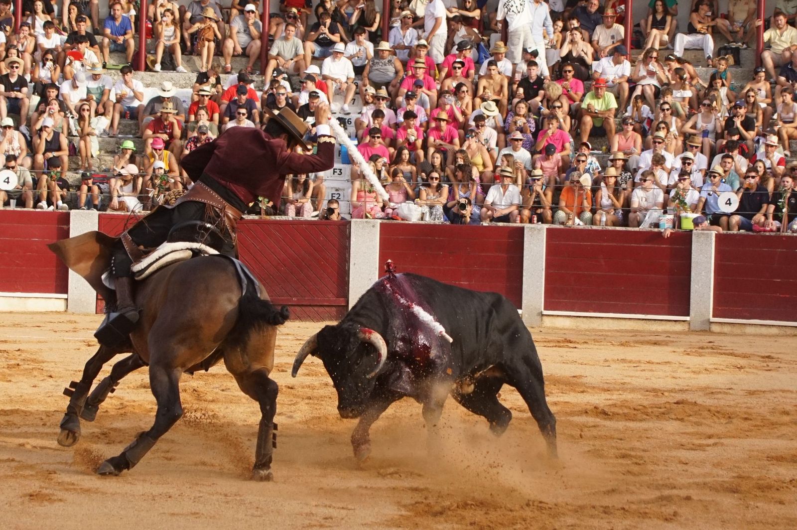 Novillada mixta en picadores en Guijuelo, 17 de agosto