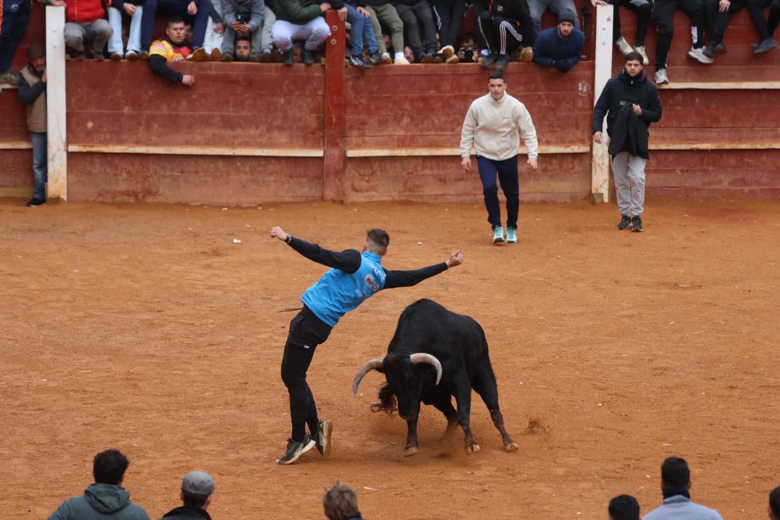 Capea de domingo en el Carnaval del Toro 2026 de Ciudad Rodrigo