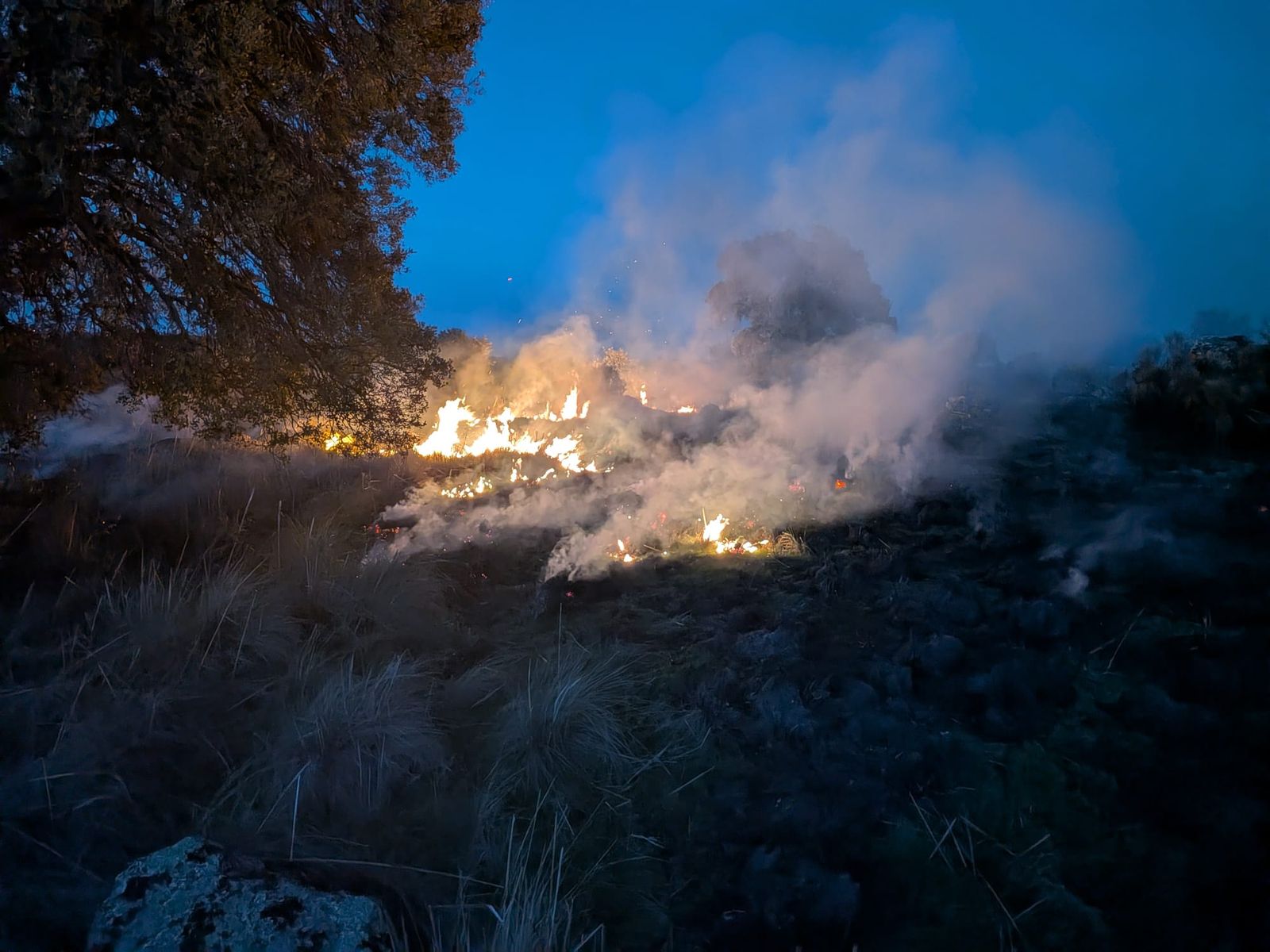 Incendio de vegetación en Sayago este pasado martes
