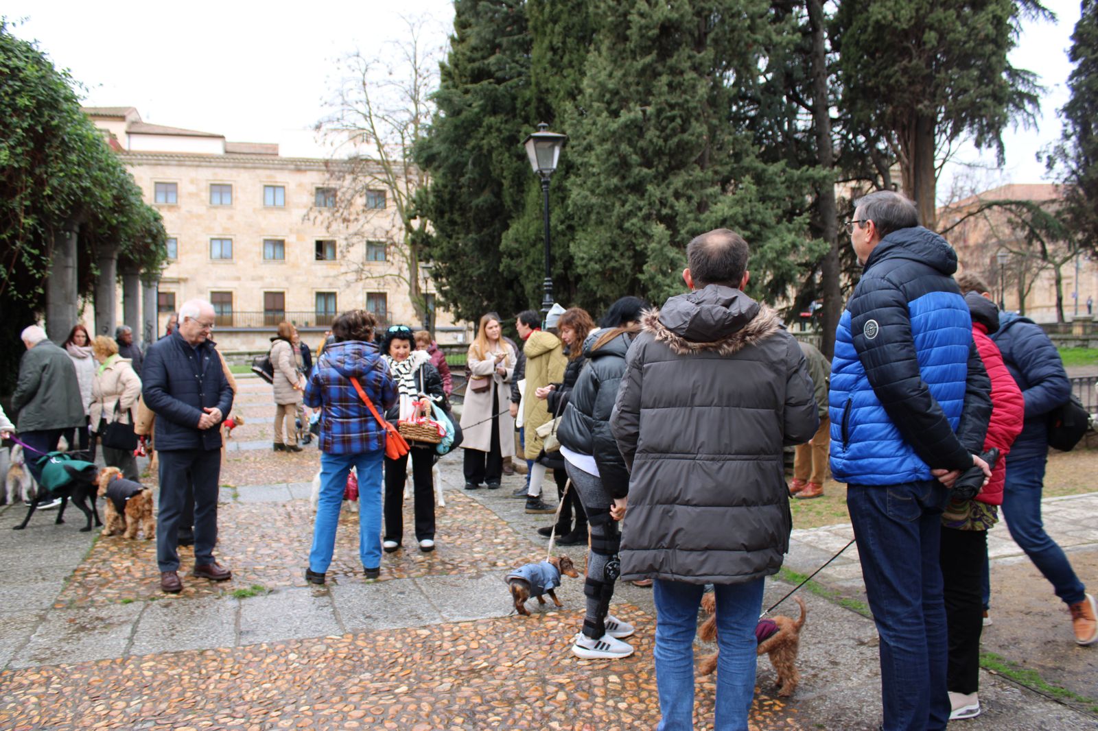 san-anton-bendicion-de-animales-2024-foto-s24h-14