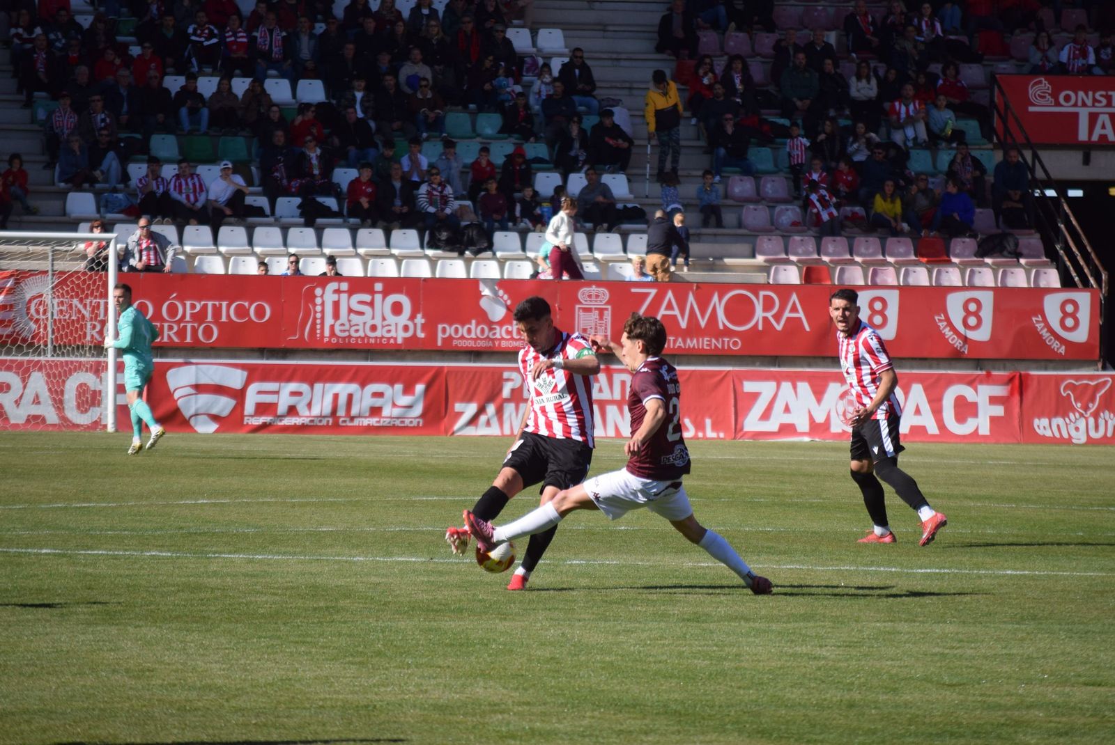 Zamora CF - Pontevedra CF (47).JPG