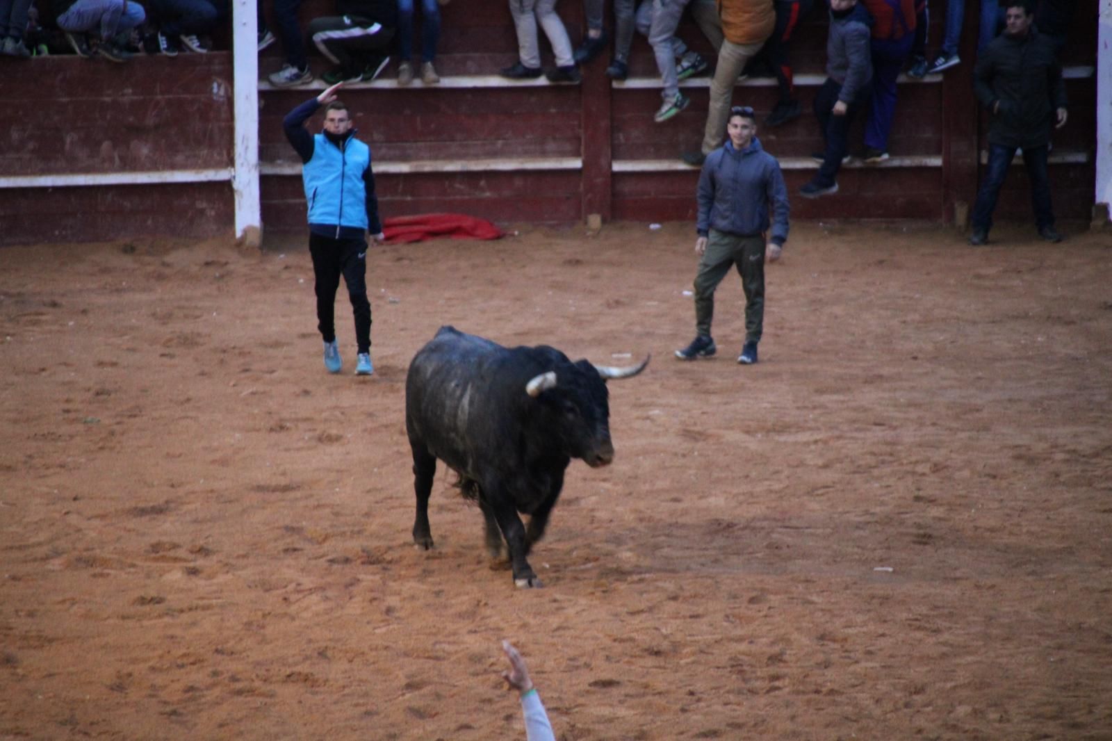 whatsapp-image-2025-03-02-at-19-32-42-2