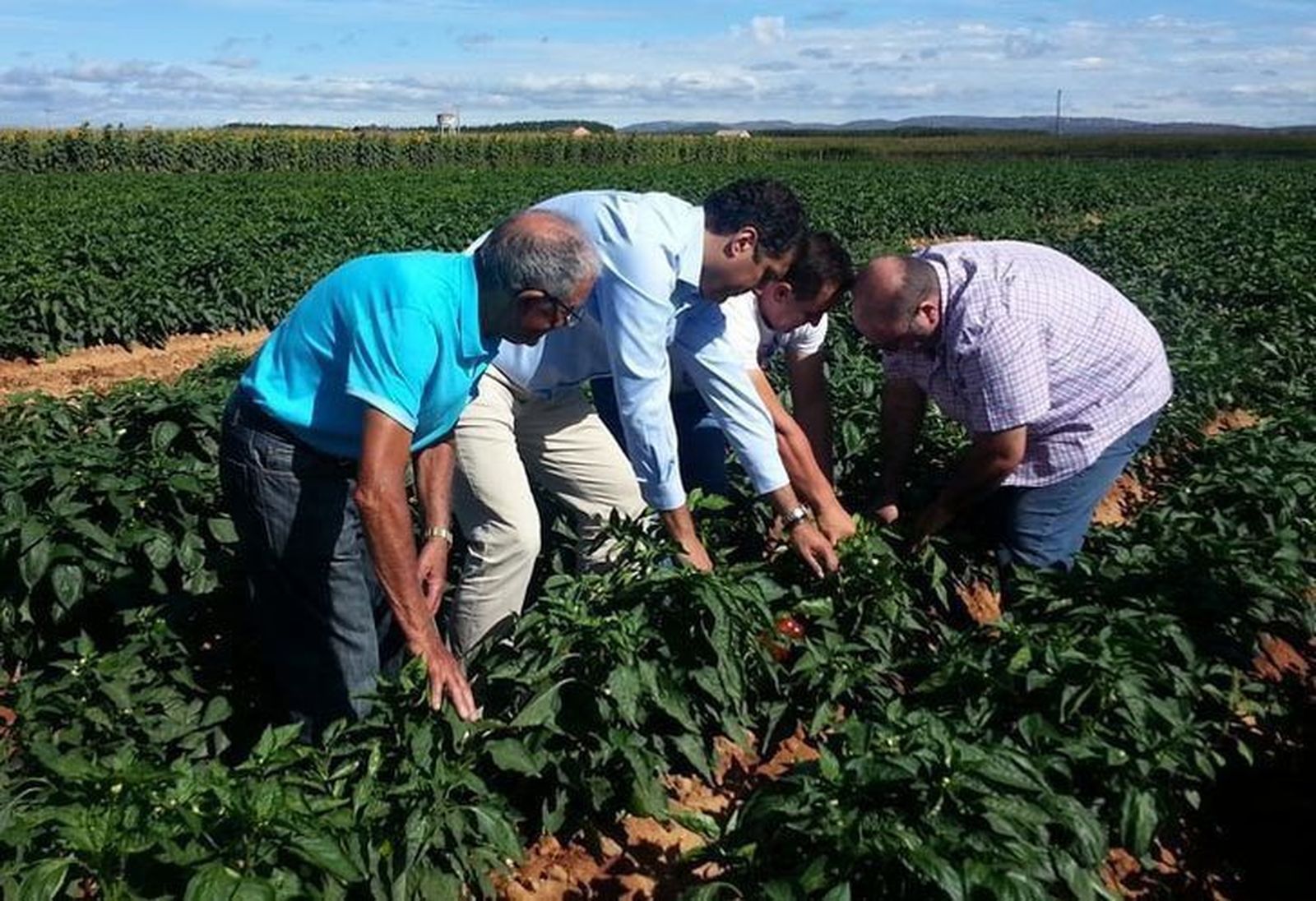 Castro aboga por potenciar la comercialización del pimiento Fresno-Benavente que este año alcanzará 450TN