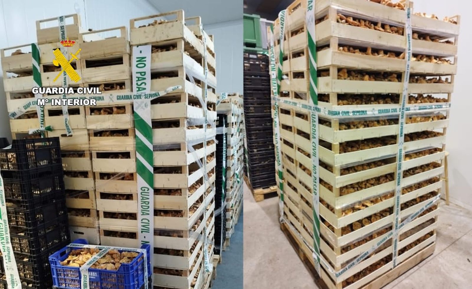 Imagen del producto decomisado